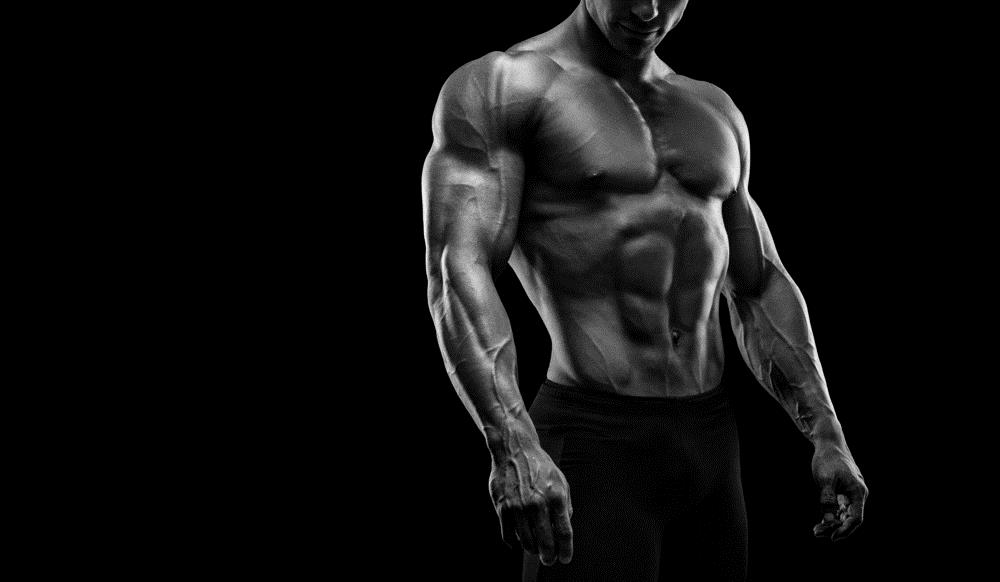 The-Masculinity-of-Vascularity
